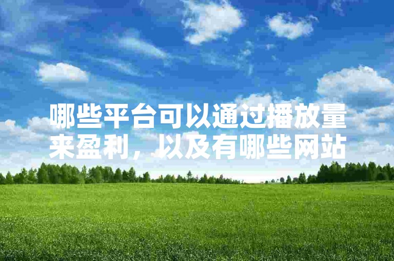 哪些平台可以通过播放量来盈利，以及有哪些网站提供大叔或快手视频的代刷服务？
