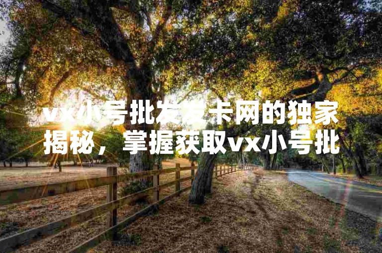 vx小号批发发卡网的独家揭秘，掌握获取vx小号批发发卡的技巧，选择价格合适的网站是关键！2025必学。