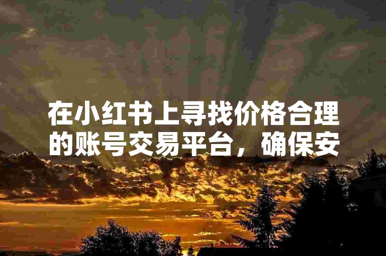 在小红书上寻找价格合理的账号交易平台，确保安全和信誉是关键。