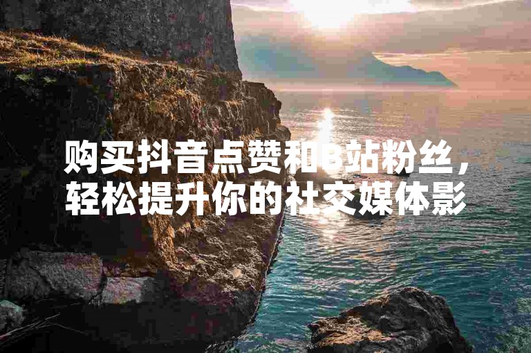 购买抖音点赞和B站粉丝，轻松提升你的社交媒体影响力。