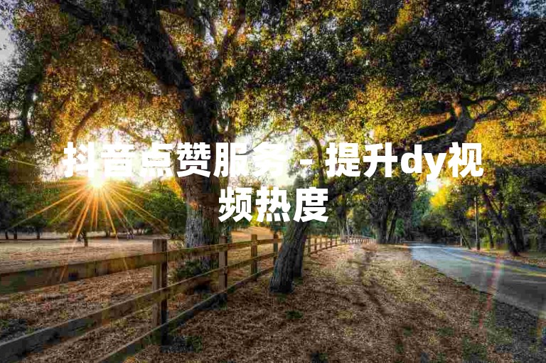 抖音点赞服务 - 提升dy视频热度
