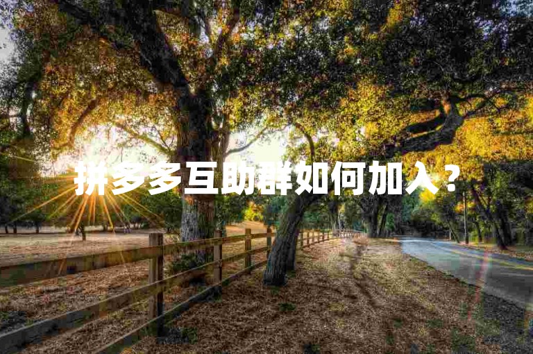 拼多多互助群如何加入？