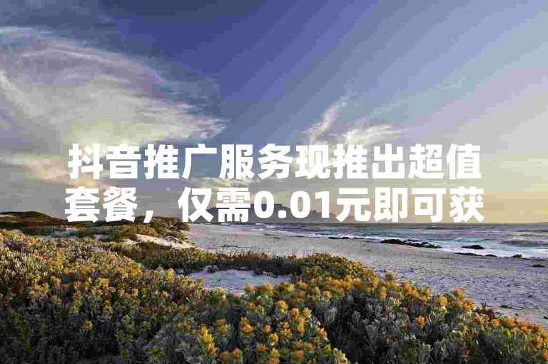 抖音推广服务现推出超值套餐，仅需0.01元即可获得小白龙马山肥的大地房最新优惠信息，同时在抖音快手平台，1毛钱便能获取1000次点赞助力。