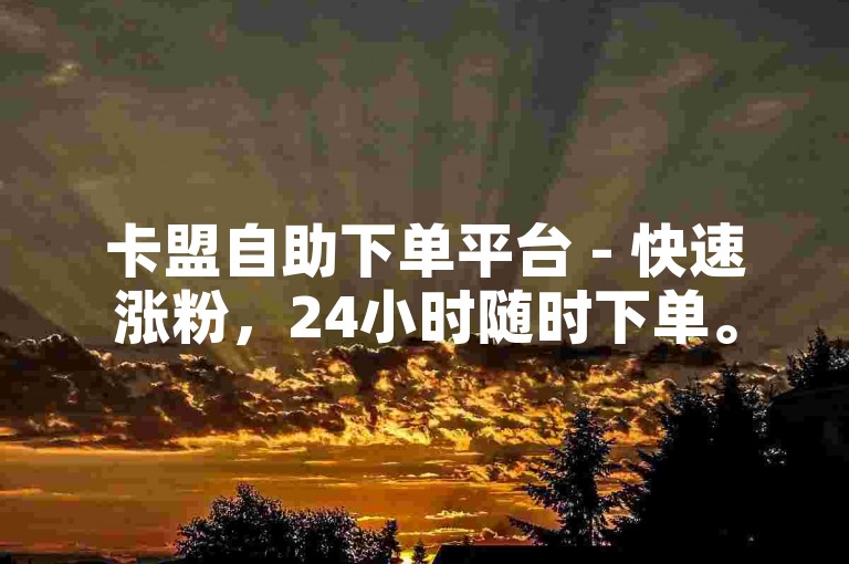 卡盟自助下单平台 - 快速涨粉，24小时随时下单。