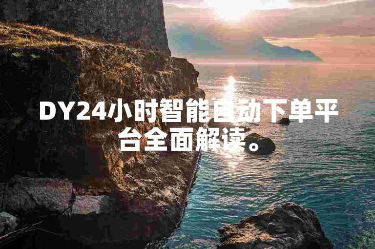 DY24小时智能自动下单平台全面解读。