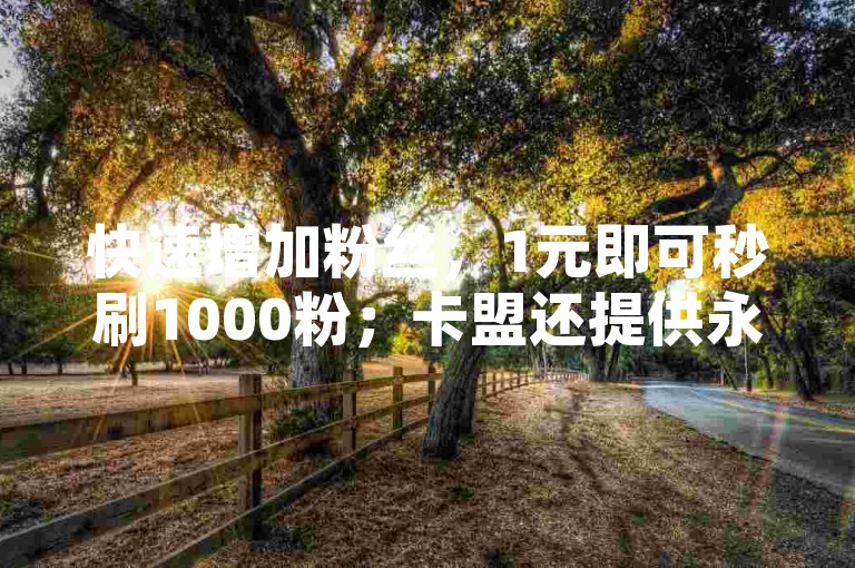 快速增加粉丝，1元即可秒刷1000粉；卡盟还提供永久会员服务。
