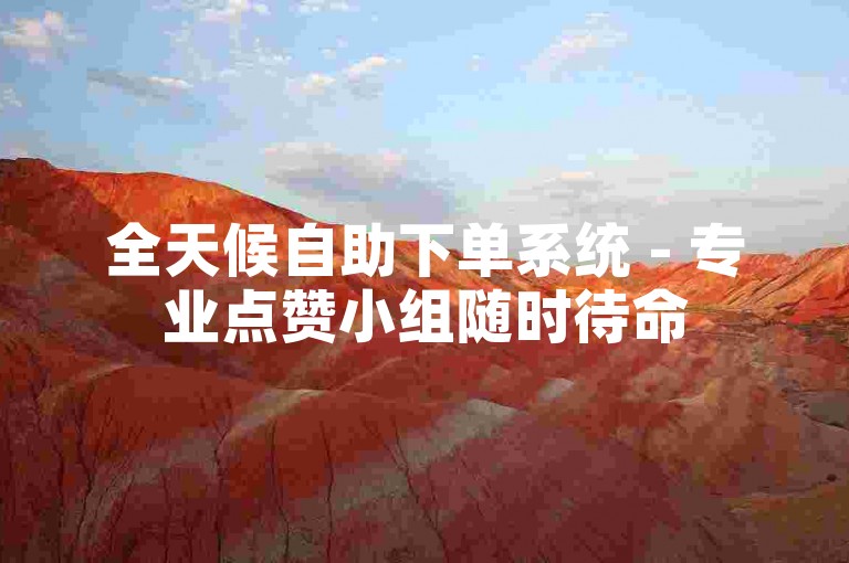 全天候自助下单系统 - 专业点赞小组随时待命
