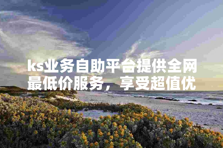 ks业务自助平台提供全网最低价服务，享受超值优惠。