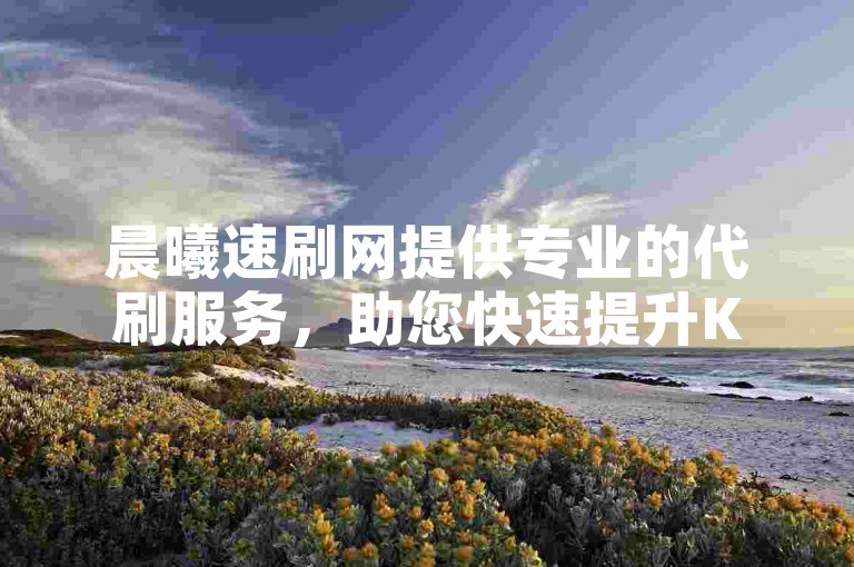 晨曦速刷网提供专业的代刷服务，助您快速提升KS平台的数据表现。