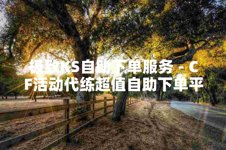 极致KS自助下单服务 - CF活动代练超值自助下单平台