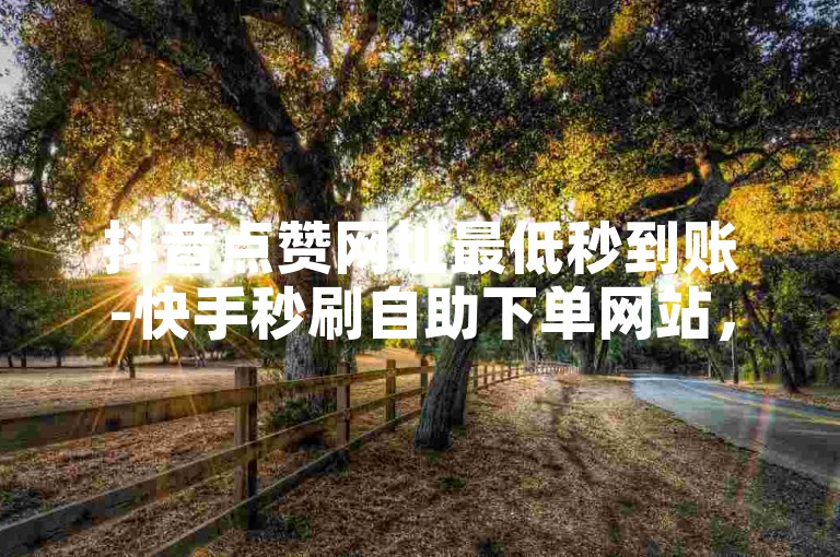 抖音点赞网址最低秒到账-快手秒刷自助下单网站，是许多用户寻求快速增加社交媒体影响力的热门选择。