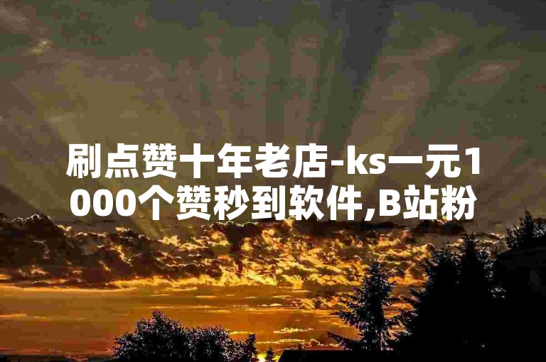 刷点赞十年老店-ks一元1000个赞秒到软件,B站粉丝