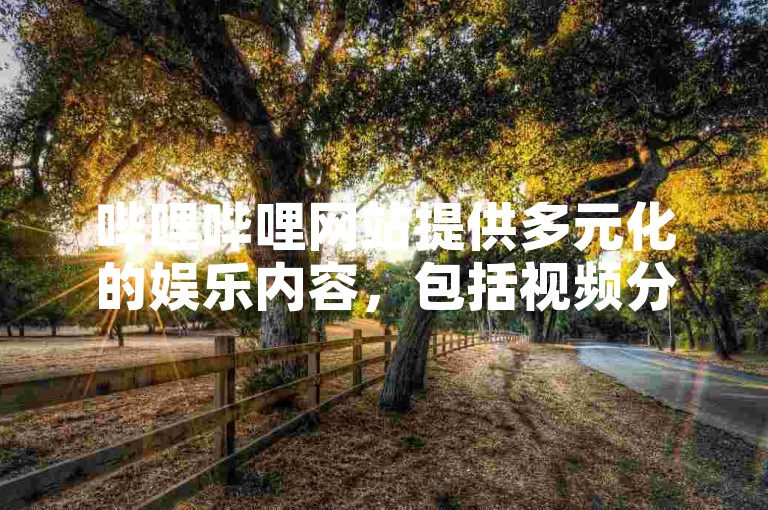 哔哩哔哩网站提供多元化的娱乐内容，包括视频分享、直播互动以及社区交流等特色服务。