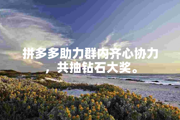 拼多多助力群内齐心协力，共抽钻石大奖。