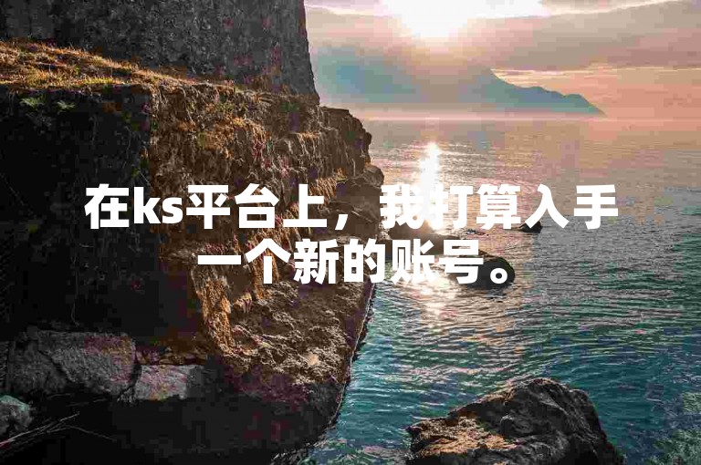 在ks平台上，我打算入手一个新的账号。