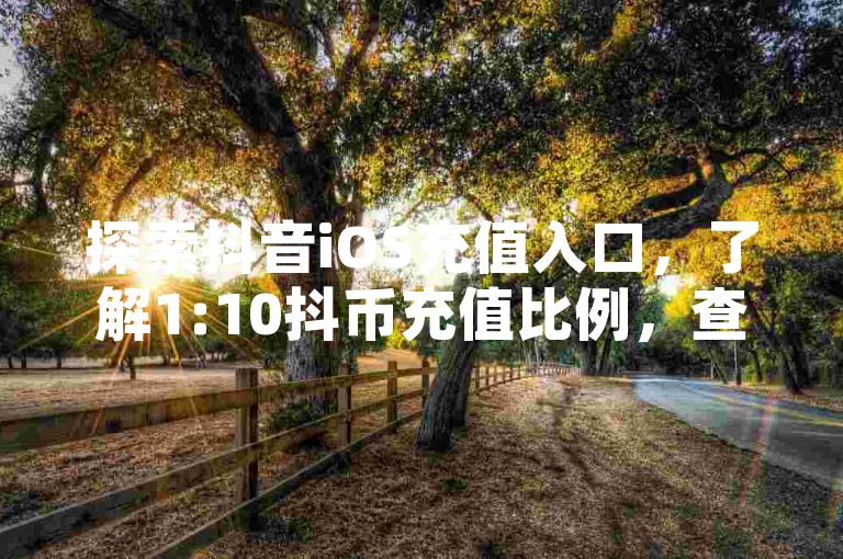 探索抖音iOS充值入口，了解1:10抖币充值比例，查询24级财富等级所需的消费金额。