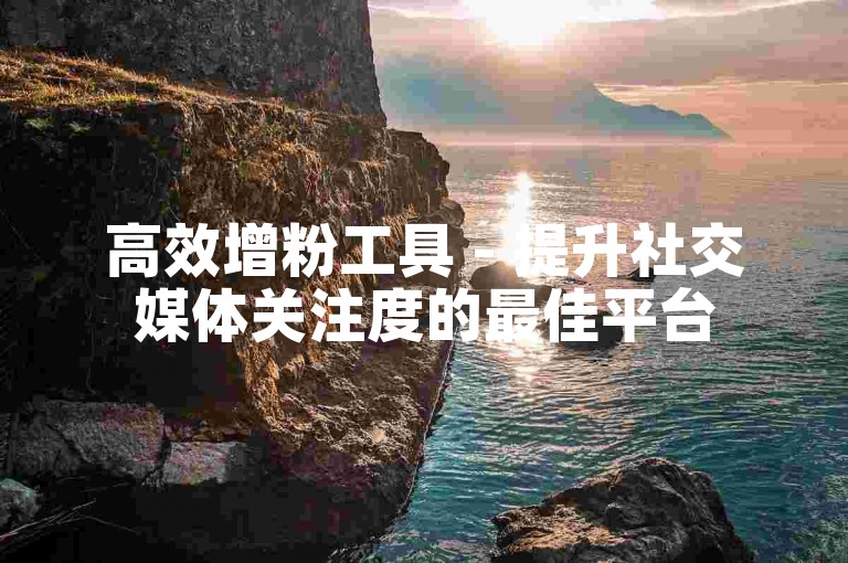 高效增粉工具 - 提升社交媒体关注度的最佳平台