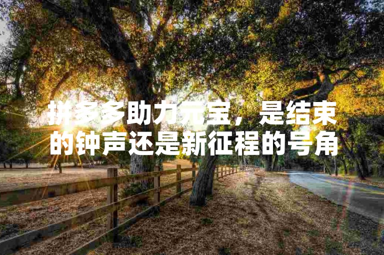 拼多多助力元宝，是结束的钟声还是新征程的号角？