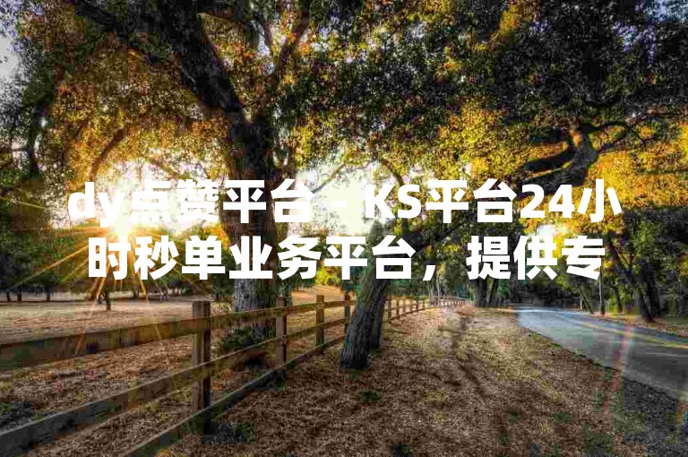 dy点赞平台 - KS平台24小时秒单业务平台，提供专业的点赞服务。