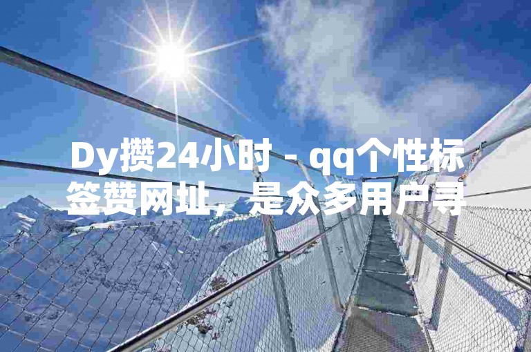 Dy攒24小时 - qq个性标签赞网址，是众多用户寻求快速提升QQ个性标签点赞数量的热门选择。