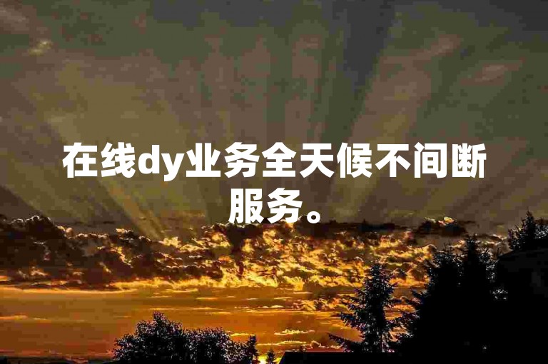 在线dy业务全天候不间断服务。