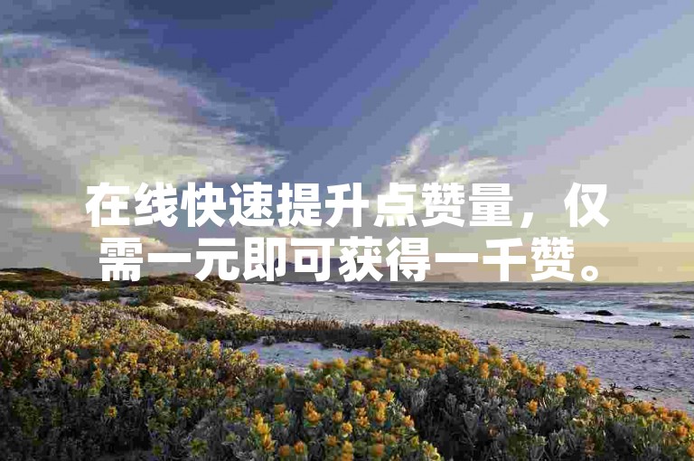 在线快速提升点赞量，仅需一元即可获得一千赞。