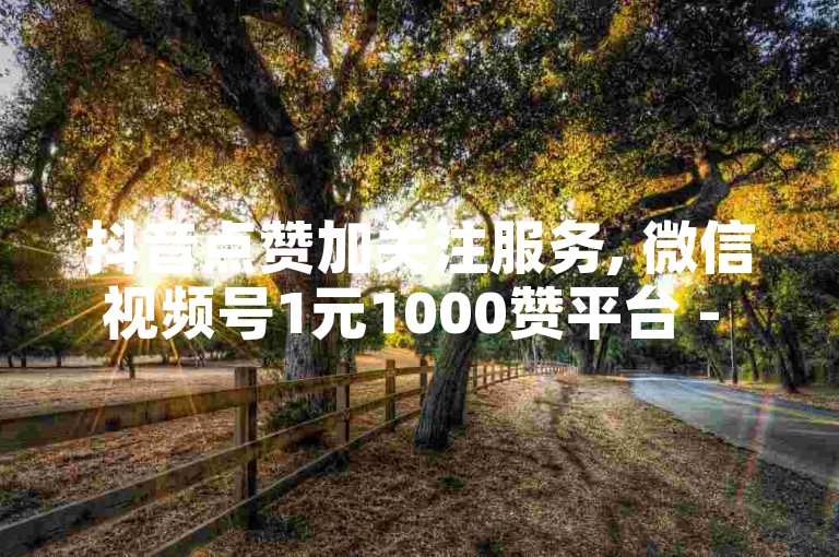 抖音点赞加关注服务, 微信视频号1元1000赞平台 - 快手粉丝快速增加 - dou+业务自助下单系统最优惠