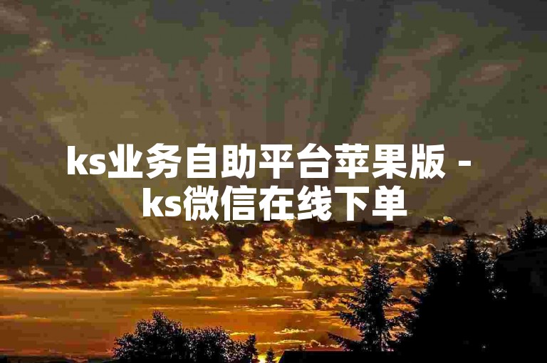 ks业务自助平台苹果版 - ks微信在线下单
