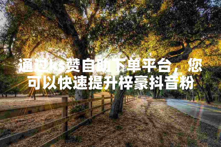 通过ks赞自助下单平台，您可以快速提升梓豪抖音粉丝数量，每小时仅需0.1元。
