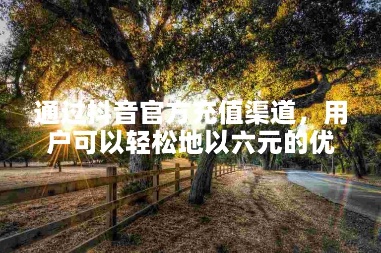 通过抖音官方充值渠道，用户可以轻松地以六元的优惠价格购买抖币。