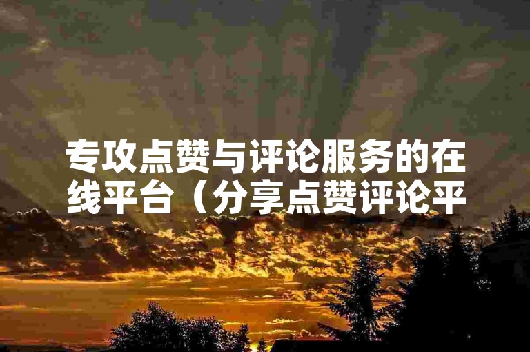专攻点赞与评论服务的在线平台（分享点赞评论平台的卓越成就）