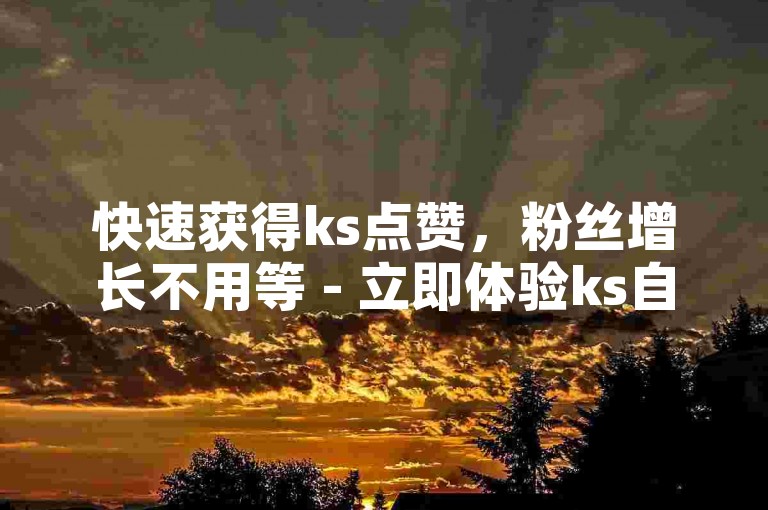 快速获得ks点赞，粉丝增长不用等 - 立即体验ks自助推广服务。