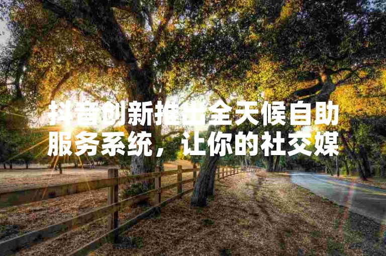 抖音创新推出全天候自助服务系统，让你的社交媒体营销管理变得更加高效便捷。