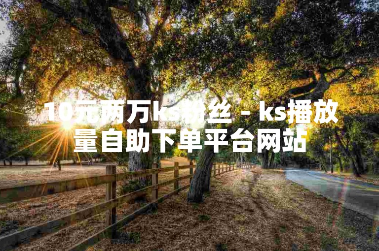 10元两万ks粉丝 - ks播放量自助下单平台网站