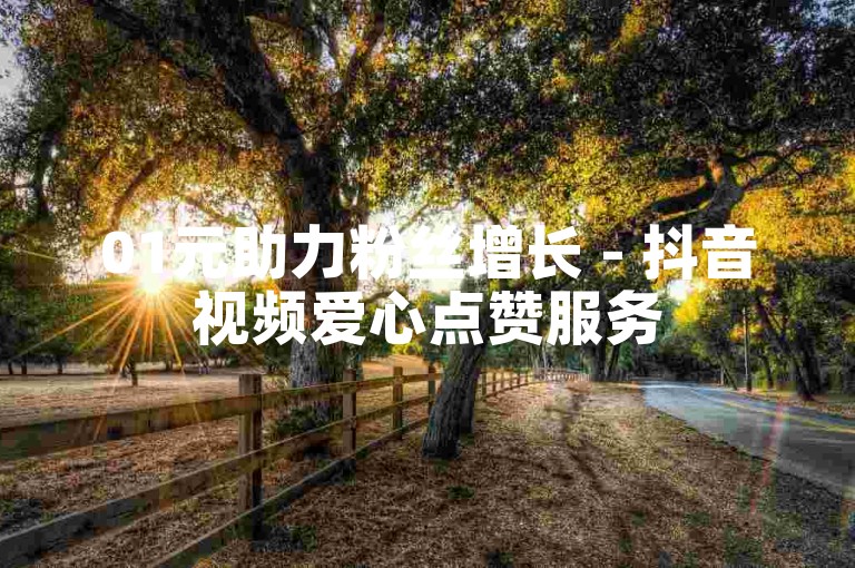 01元助力粉丝增长 - 抖音视频爱心点赞服务