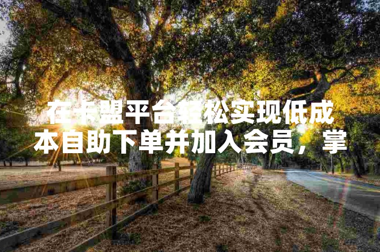 在卡盟平台轻松实现低成本自助下单并加入会员，掌握关键步骤！