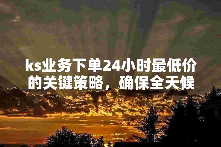 ks业务下单24小时最低价的关键策略，确保全天候提供最低价格，实现ks业务的迅速下单！新手必知！