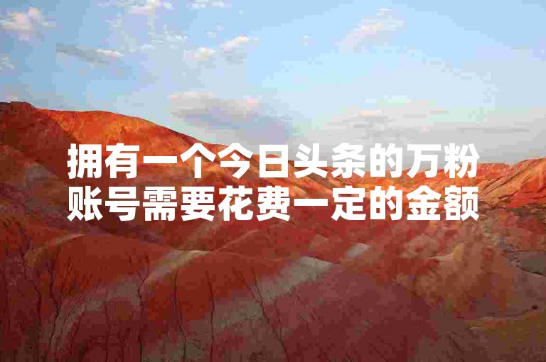 拥有一个今日头条的万粉账号需要花费一定的金额（询问购买一个拥有万名粉丝的今日头条账号的成本）。