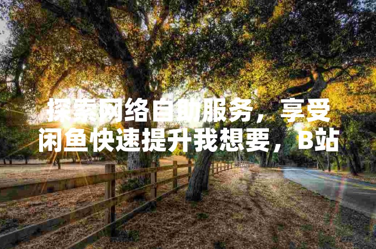 探索网络自助服务，享受闲鱼快速提升我想要，B站业务一键处理，QQ空间访客量激增至10000，以及获取免费QQ赞的便捷体验。