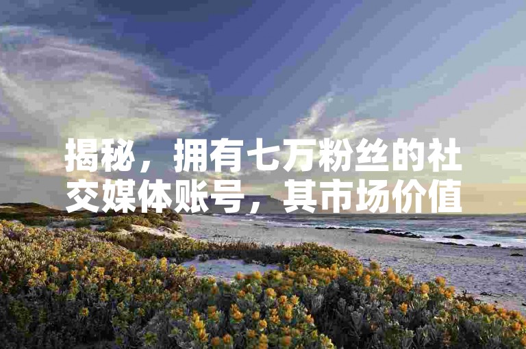 揭秘，拥有七万粉丝的社交媒体账号，其市场价值究竟几何？2025年你必须了解的关键信息！