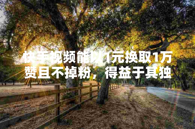 快手视频能以1元换取1万赞且不掉粉，得益于其独特的算法推荐机制、丰富的内容生态以及有效的用户互动策略。