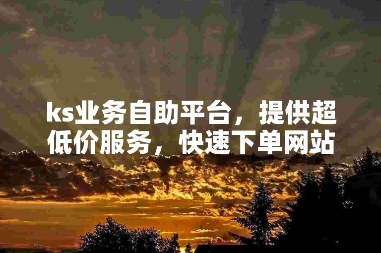 ks业务自助平台，提供超低价服务，快速下单网站。