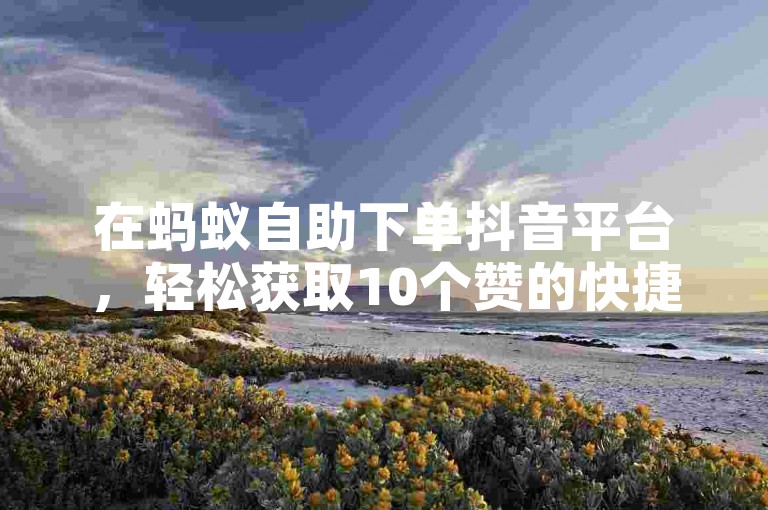 在蚂蚁自助下单抖音平台，轻松获取10个赞的快捷服务正等待着你的体验。