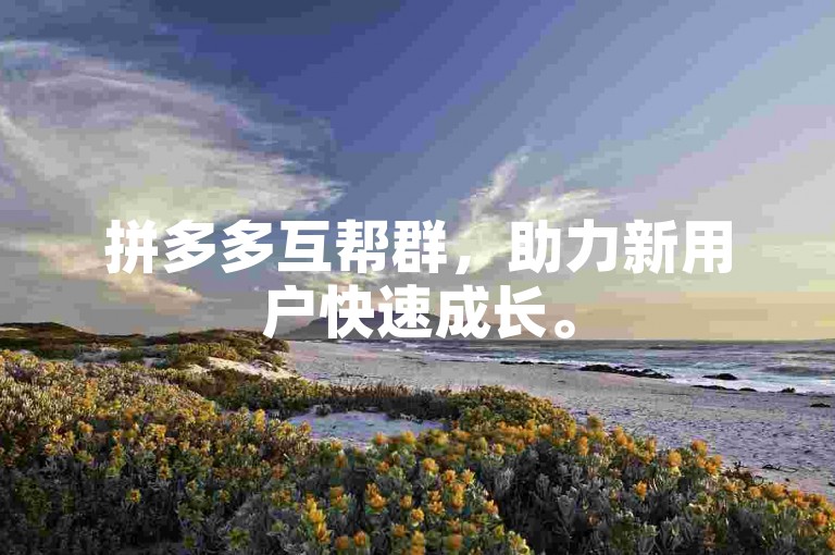 拼多多互帮群，助力新用户快速成长。