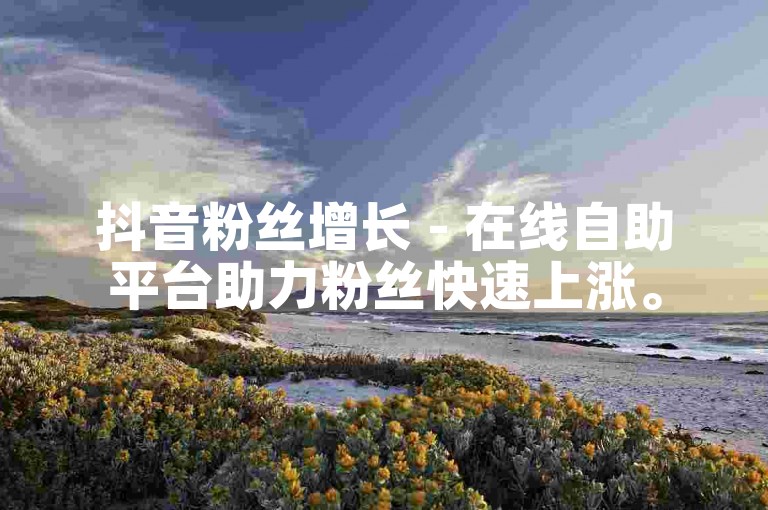 抖音粉丝增长 - 在线自助平台助力粉丝快速上涨。