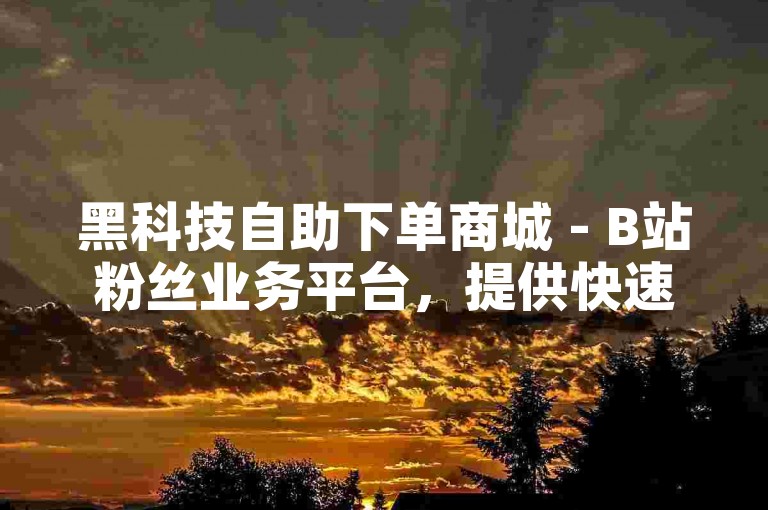 黑科技自助下单商城 - B站粉丝业务平台，提供快速、便捷的服务，满足用户在B站上获取粉丝的需求。