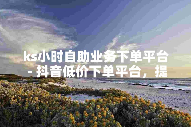 ks小时自助业务下单平台 - 抖音低价下单平台，提供便捷的在线服务购买体验。