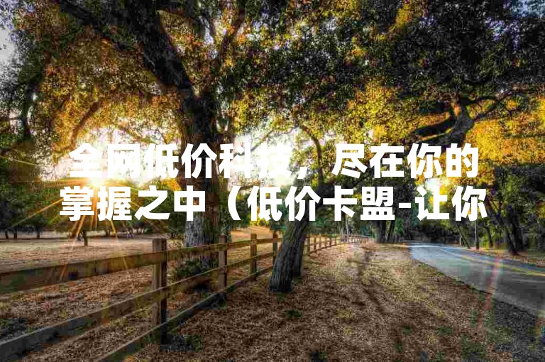 全网低价科技，尽在你的掌握之中（低价卡盟-让你轻松拥有全网最低价）