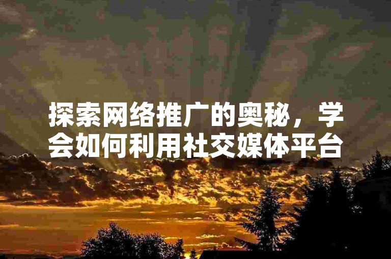 探索网络推广的奥秘，学会如何利用社交媒体平台有效吸引关注并迅速提高销量。