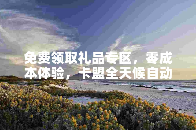 免费领取礼品专区，零成本体验，卡盟全天候自动下单平台。